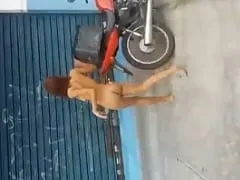 Cracuda s’est mise à poil dans les rues de Goiânia avec du feu dans la chatte et Rascal l’a filmée – Amadora