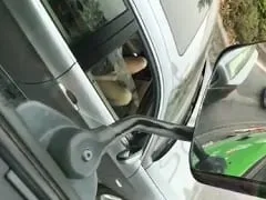 Pour soulager le stress de la circulation, une nymphette se masturbe dans sa voiture, mais se fait attraper par un chauffeur de camion – Amadora